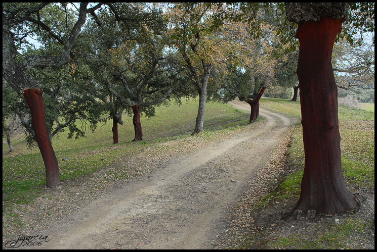 Camino de La Loma - jgarcía © 2006 -