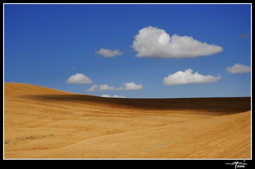 Campiña Sur de Córdoba - jgarcía © 2006 -