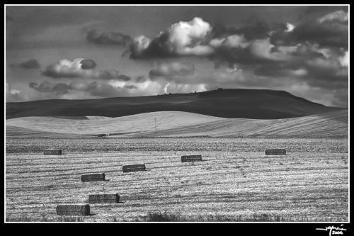 Pacas sobre la Campiña B/N - jgarcía © 2006 -