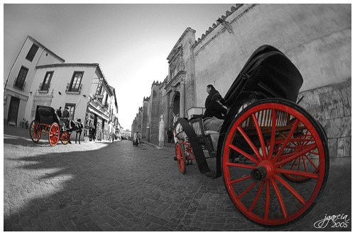 Coches de caballos - jgarcía © 2005 -