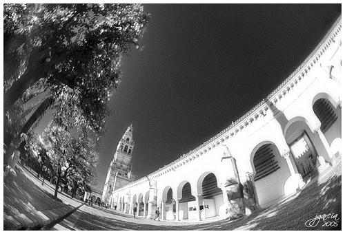 Torre de la Mezquita Catedral de Córdoba - jgarcía © 2005 -