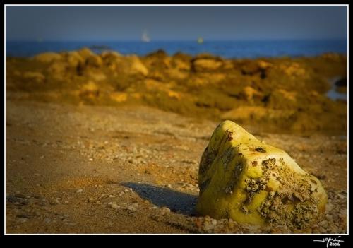 Piedra en la Playa - jgarcía © 2006 -